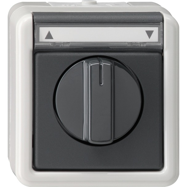 Jaloeziedrukcontact resp. -schakelaar 1-polig 10Â AÂ 250Â V~ met tekstkader Groependrukcontact resp. -schakelaar (015430)