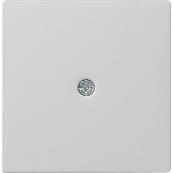 Afdekking voor snoeraftakking en telecommunicatieverbindingsdoos (0274015)