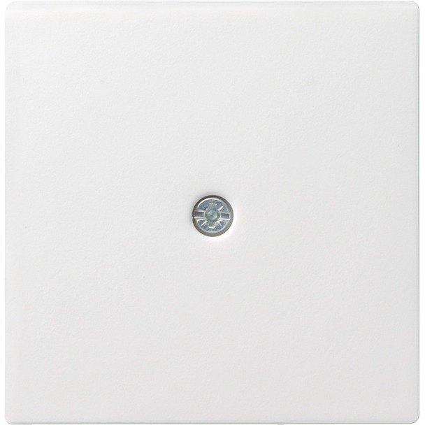 Afdekking voor snoeraftakking en telecommunicatieverbindingsdoos (027403)