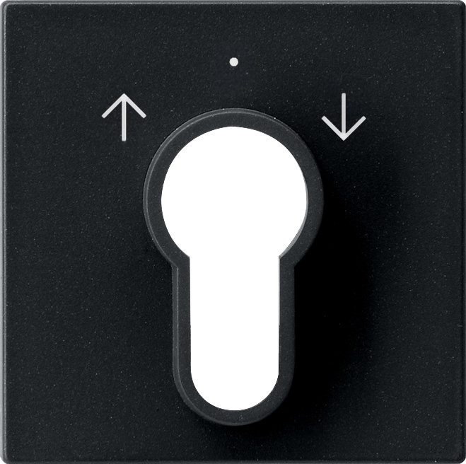 Afdekking voor sleutelschakelaar en sleuteldrukcontact zwart mat (0664005)