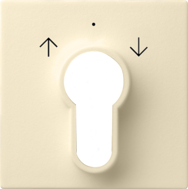 Afdekking voor sleutelschakelaar en sleuteldrukcontact cremé wit glanzend (066401)