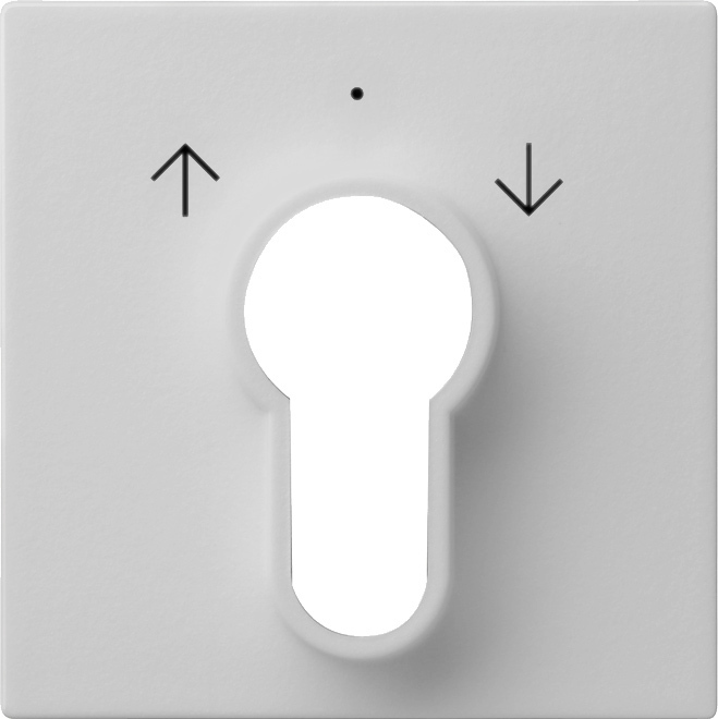 Afdekking voor sleutelschakelaar en sleuteldrukcontact grijs mat (0664015)