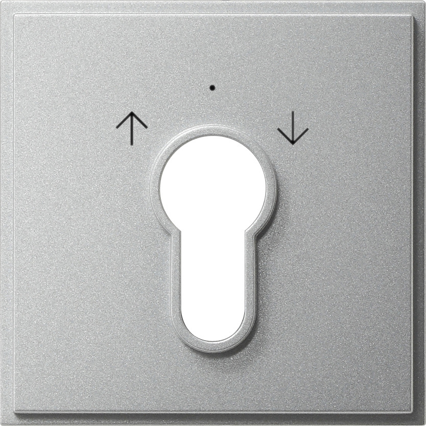 Afdekking voor sleutelschakelaar en sleuteldrukcontact (066465)