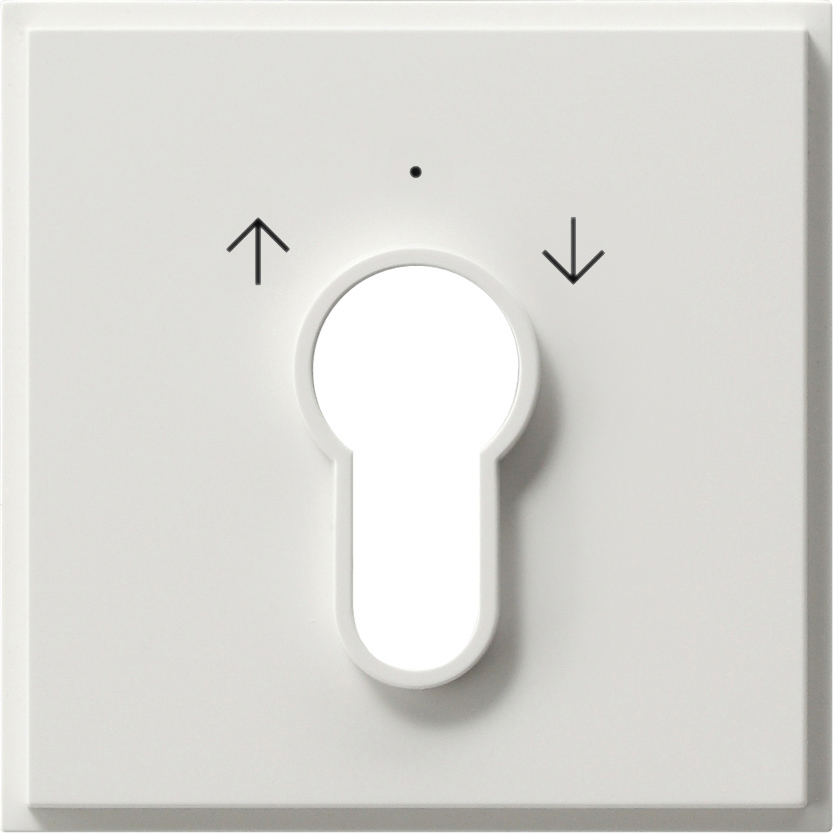 Afdekking voor sleutelschakelaar en sleuteldrukcontact (066466)