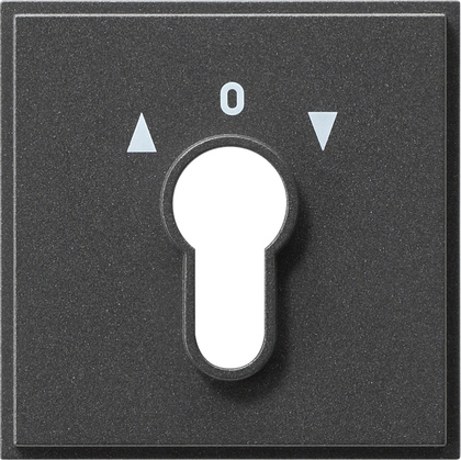 Gira 066467 Afdekking voor sleutelschakelaar en sleuteldrukcontact tx_44 antraciet