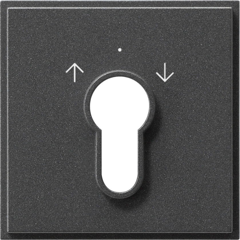 Afdekking voor sleutelschakelaar en sleuteldrukcontact (066467)