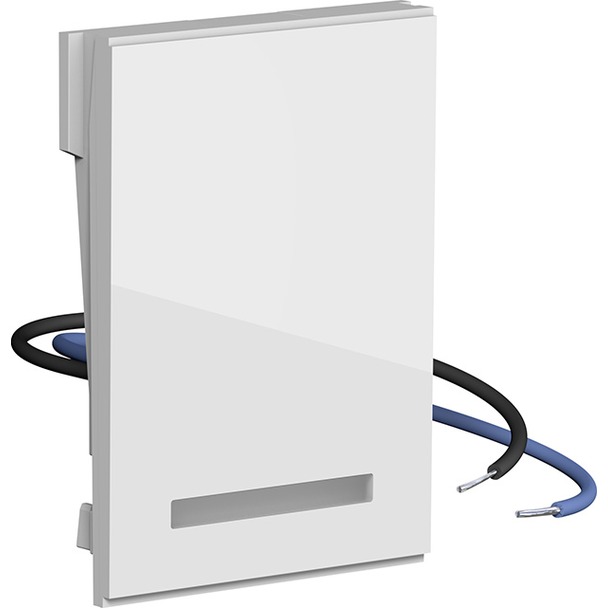 Verlichtingselement voor opbouwbehuizing (106703)