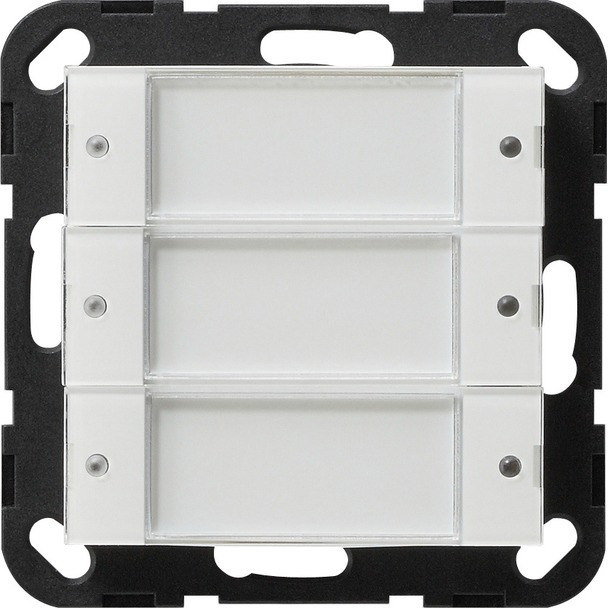 Tastsensor 2 3-voudig 24 V potentiaalvrij met tekstkader (2003100)