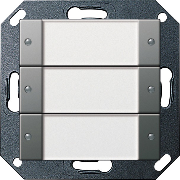 Tastsensor 2 3-voudig 24 V potentiaalvrij met tekstkader (2003600)