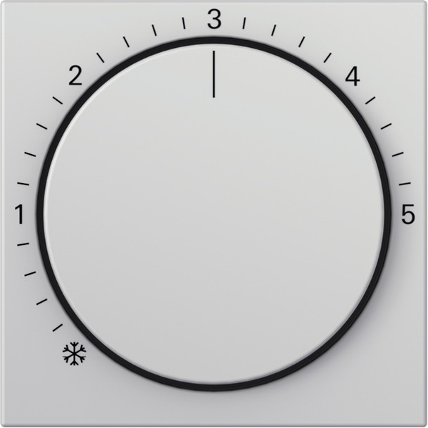 Afdekking voor ruimtetemperatuurregelaar System 55 (2706015)