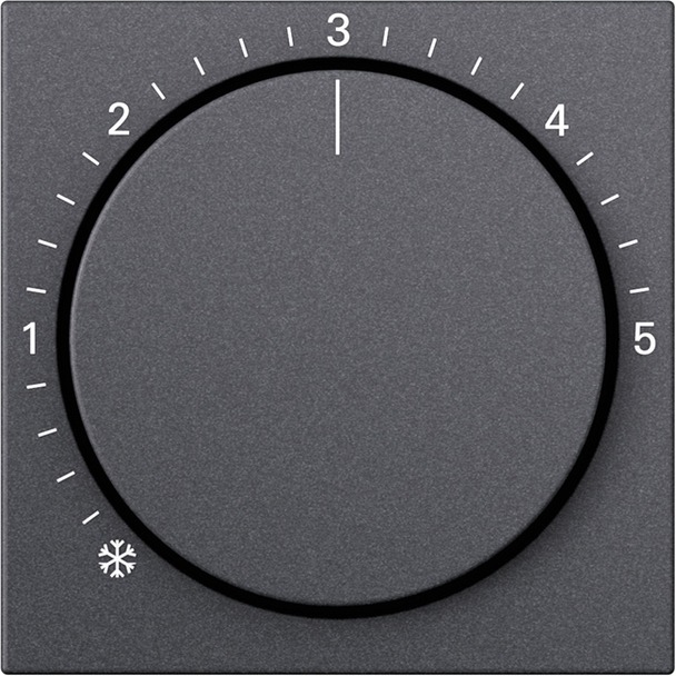 Afdekking voor ruimtetemperatuurregelaar System 55 (270628)