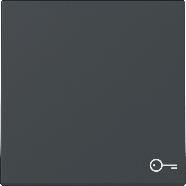 Wip met symbool antraciet (328728)