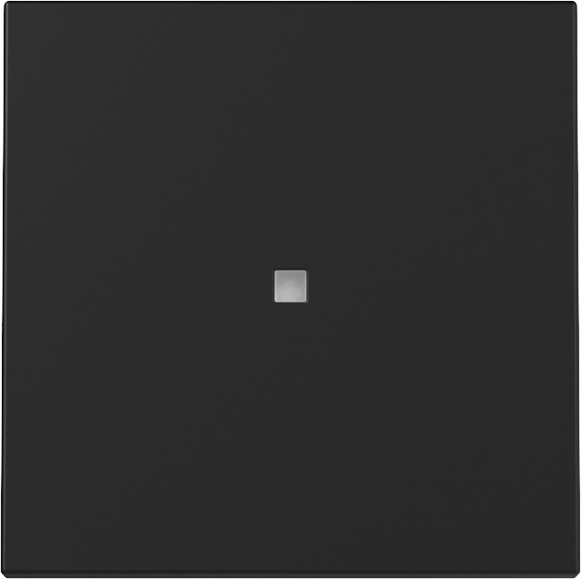 Wip met controlevenster zwart mat (3290005)