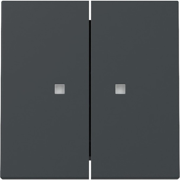 Wip 2-voudig met controlevenster (363128)