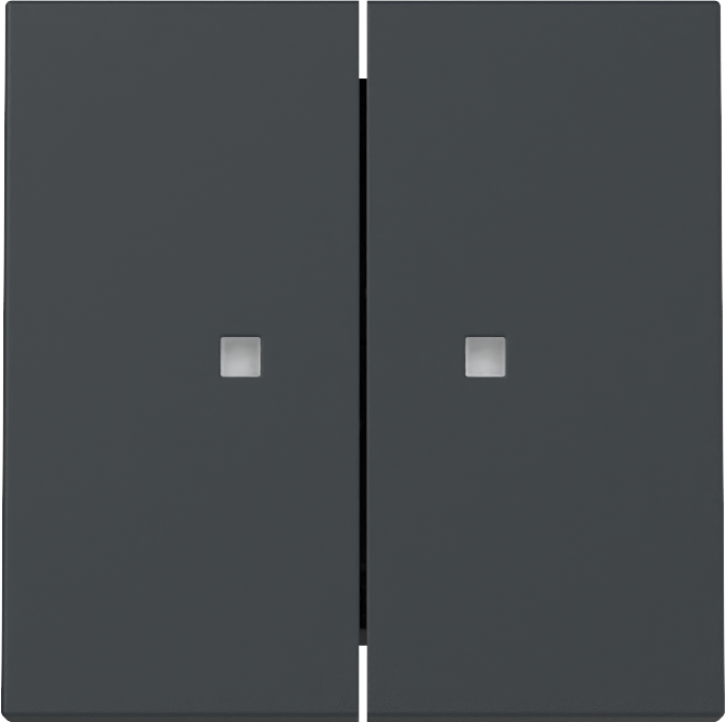 Wip 2-voudig met controlevenster antraciet (363128)