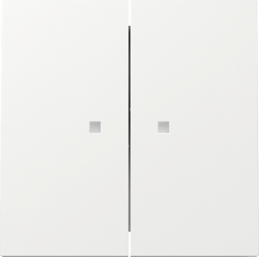 Wip 2-voudig met controlevenster (363170)