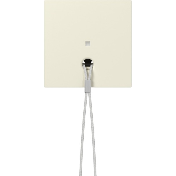 Afdekking met controlevenster voor trekschakelaar (363801)