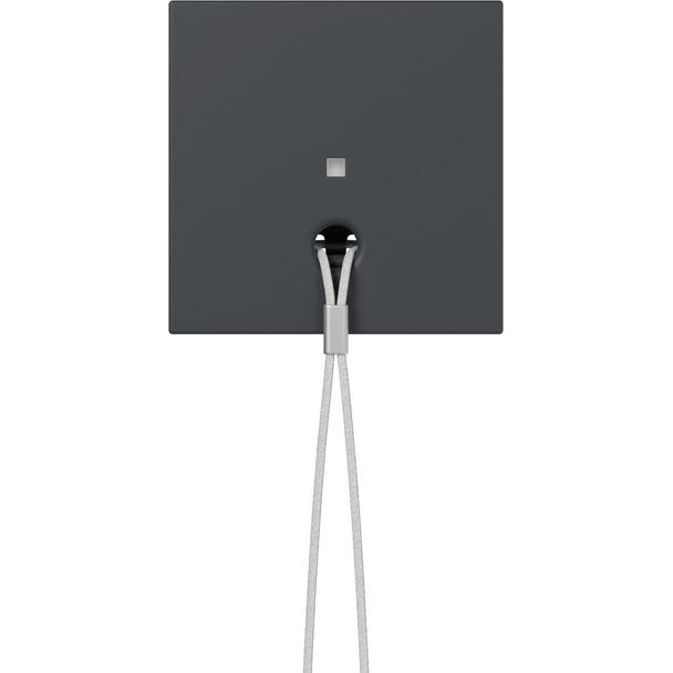 Afdekking met controlevenster voor trekschakelaar (363828)