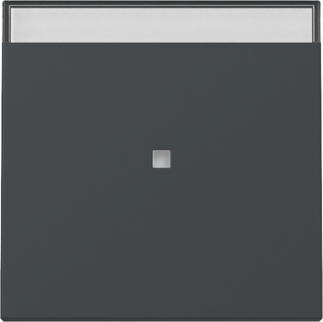 Wip met controlevenster en tekstkader antraciet (367028)