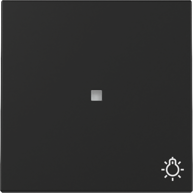 Wip met controlevenster en symbool zwart mat (3674005)