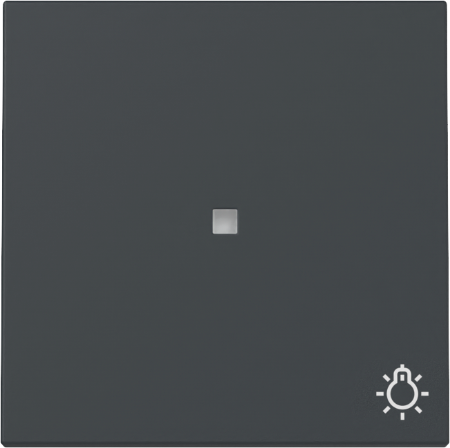 Wip met controlevenster en symbool antraciet (367428)