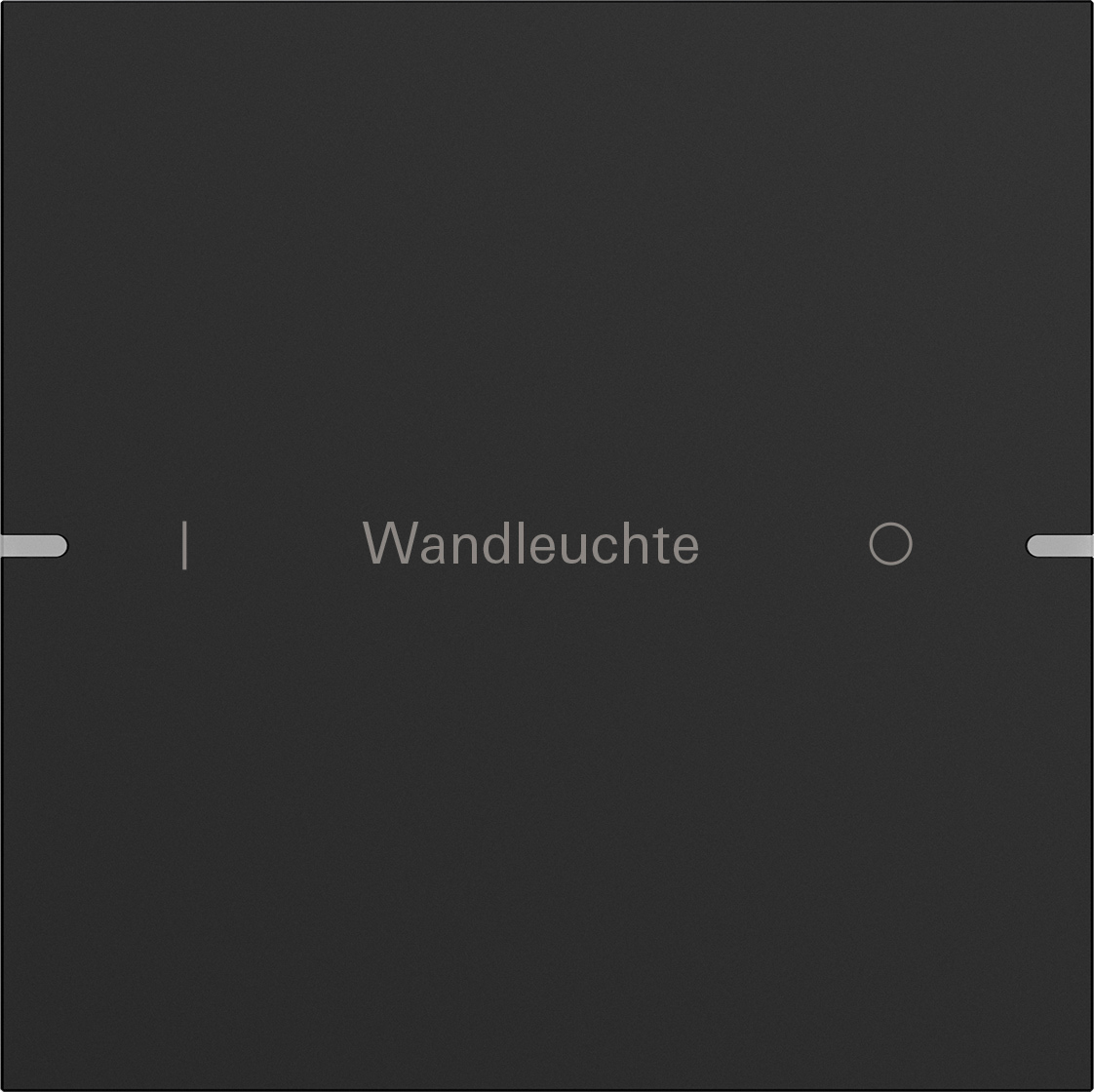 Wippenset 1-voudig individueel voor tastsensor 4.95 (5031905)