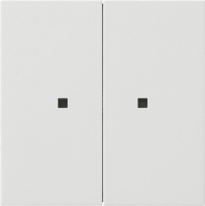 RF bedieningselement-opzetstuk 2-voudig voor KNX (5107112)