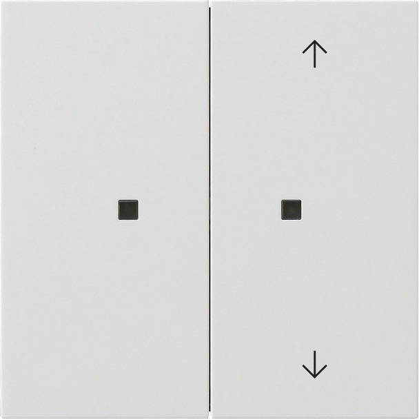 Drukcontact met wip 2-voudig onbedrukt/pijlsymbolen voor Gira One en KNX Gira F100 (5175112)