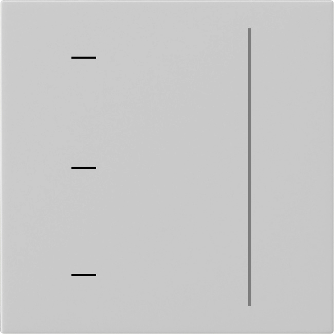 System 3000 touchopzetstuk grijs mat (5365015)