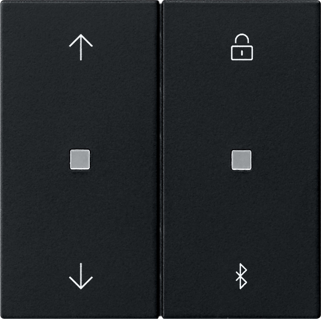 System 3000 jaloezie- en schakelklok BT pijlsymbolen zwart mat (5367005)