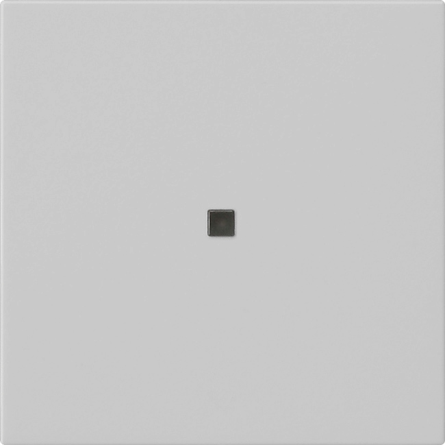 System 3000 bedieningselement-opzetstuk BT grijs mat (5368015)