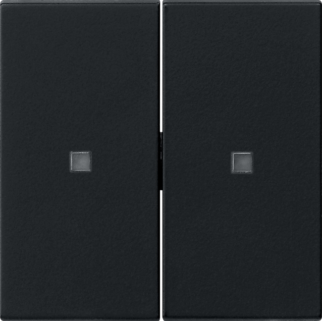 Wip 2-voudig onbedrukt met controlevenster zwart mat (5369005)