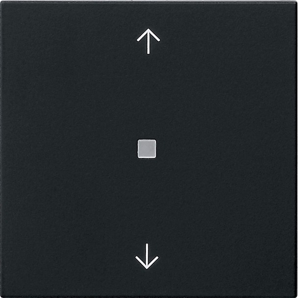 System 3000 bedieningselement-opzetstuk BT pijlsymbolen System 55 (5382005)