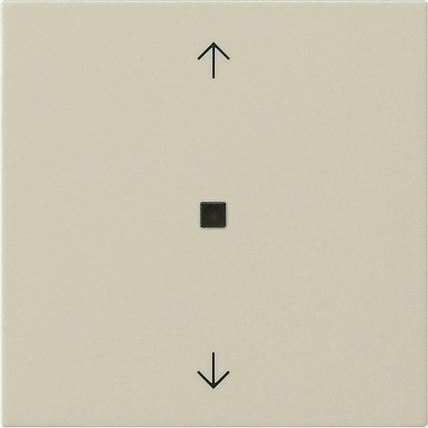 System 3000 bedieningselement-opzetstuk BT pijlsymbolen System 55 (538201)