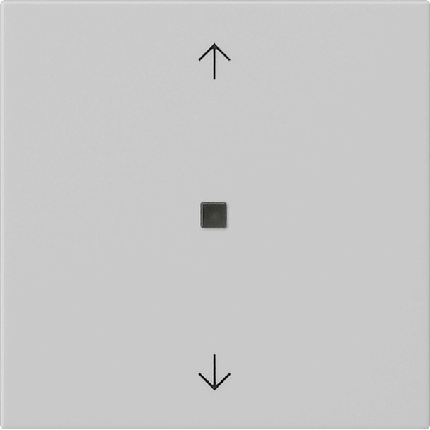 System 3000 bedieningselement-opzetstuk BT pijlsymbolen System 55 (5382015)