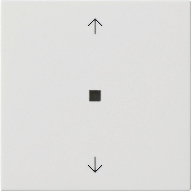 System 3000 bedieningselement-opzetstuk BT pijlsymbolen System 55 (538203)