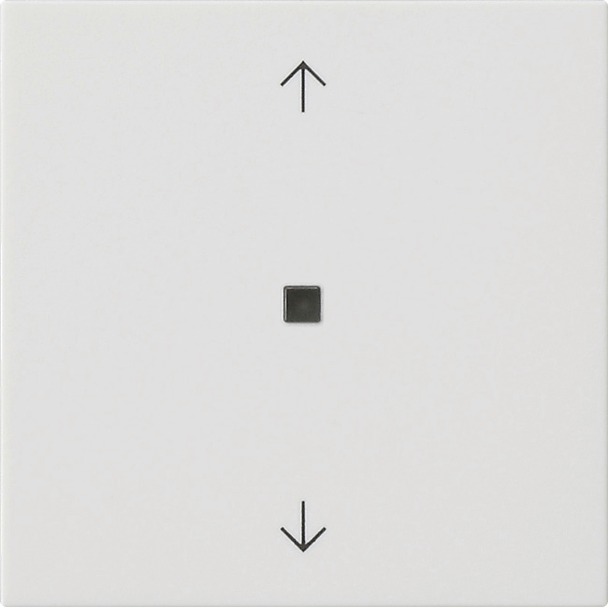 System 3000 bedieningselement-opzetstuk BT pijlsymbolen System 55 (538227)