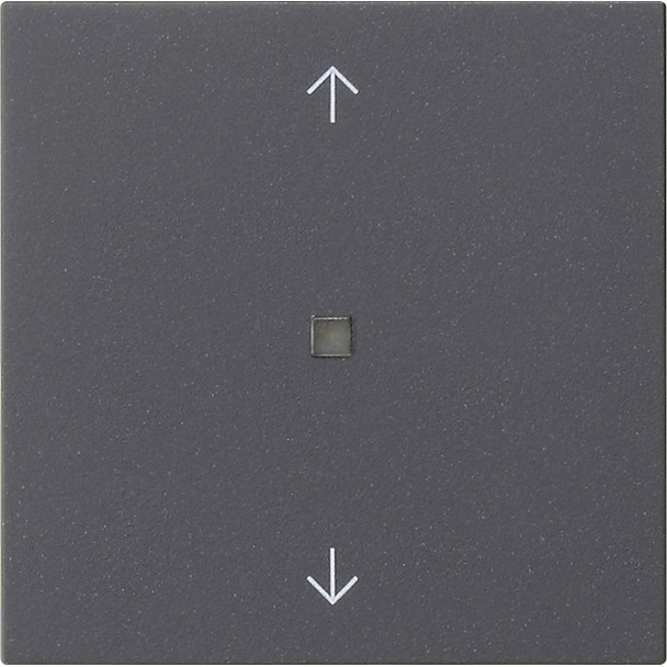 System 3000 bedieningselement-opzetstuk BT pijlsymbolen System 55 (538228)