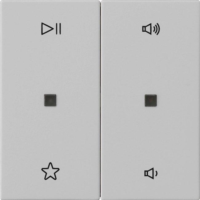 Wip 2-voudig audiobesturing grijs mat (5384015)