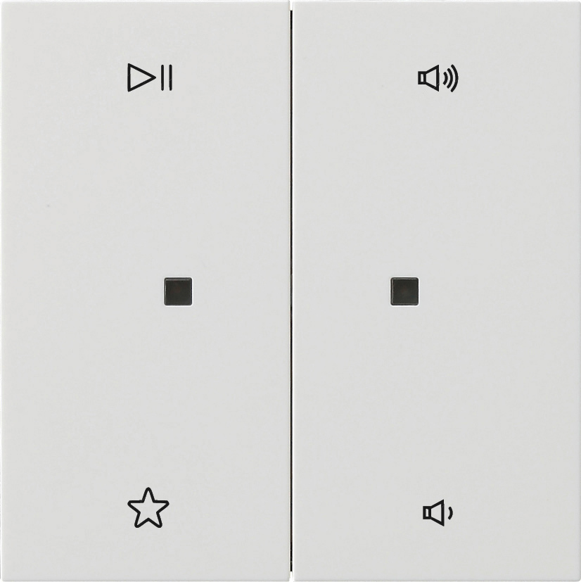 Wip 2-voudig audiobesturing (5384112)