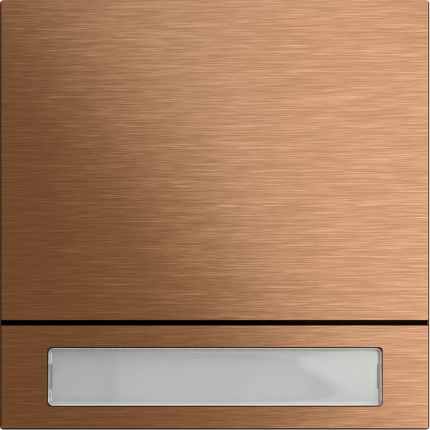 System 106 belknopmodule 1-voudig (5531921)