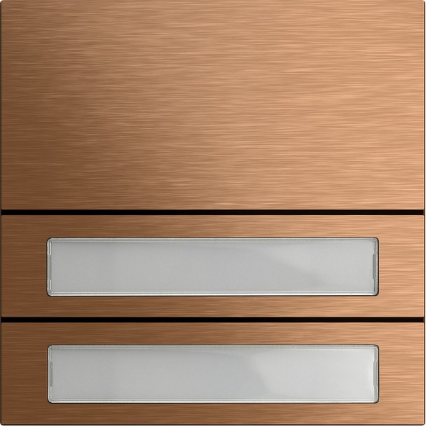 System 106 belknopmodule 2-voudig (5532921)