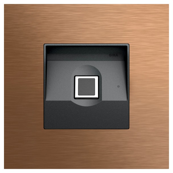 System 106 Keyless In Fingerprint-module (5551921)