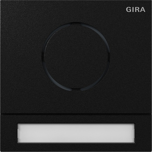 System 106 deurstationmodule (5565925)