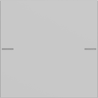 Wippenset 1-voudig voor tastsensor 4.55 grijs mat (5751015)