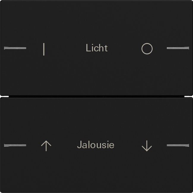 Wippenset 2-voudig individueel voor tastsensor 4.55 zwart mat (5762005)