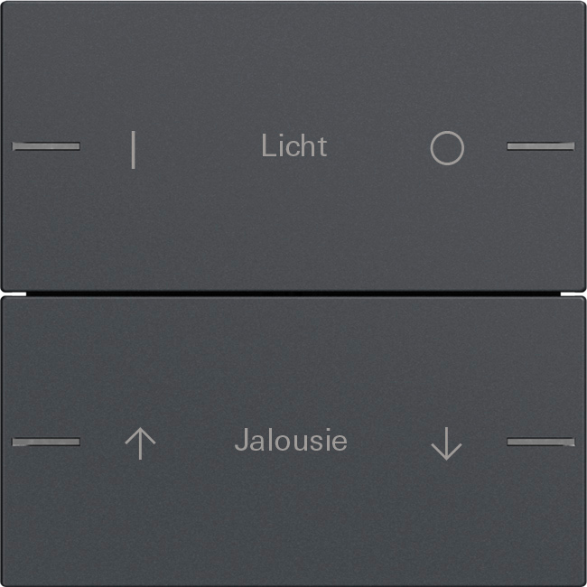 Wippenset 2-voudig individueel voor tastsensor 4.55 antraciet (576228)