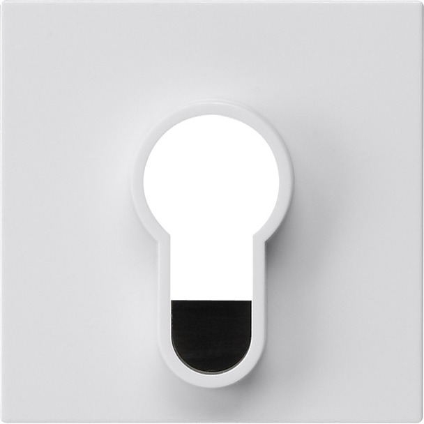 Afdekking voor sleutelschakelaar en sleuteldrukcontact onbedrukt (866403)