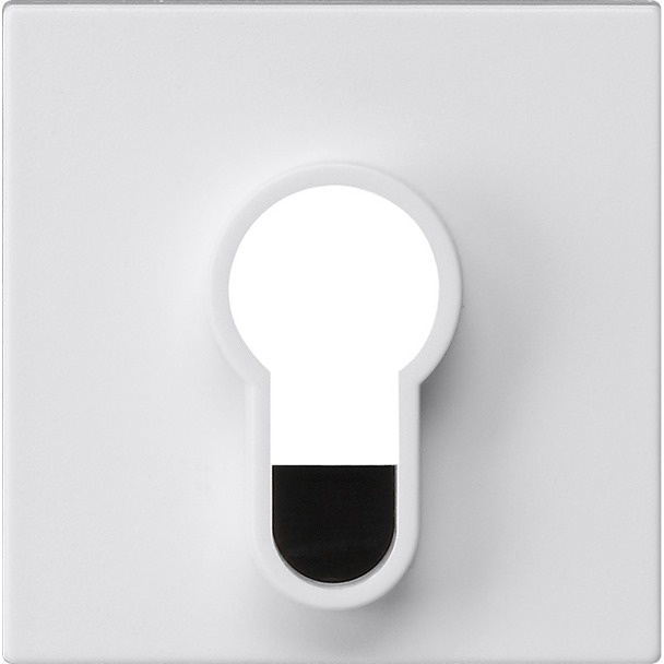 Afdekking voor sleutelschakelaar en sleuteldrukcontact onbedrukt (866427)