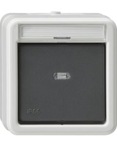 Gira 011231 Wipcontroleschakelaar met montageplaat en adapter K/P25 Uitschakelaar 2-polig grijs
